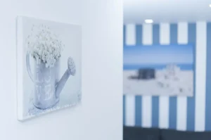 Domki letniskowe nad morzem - Meduza